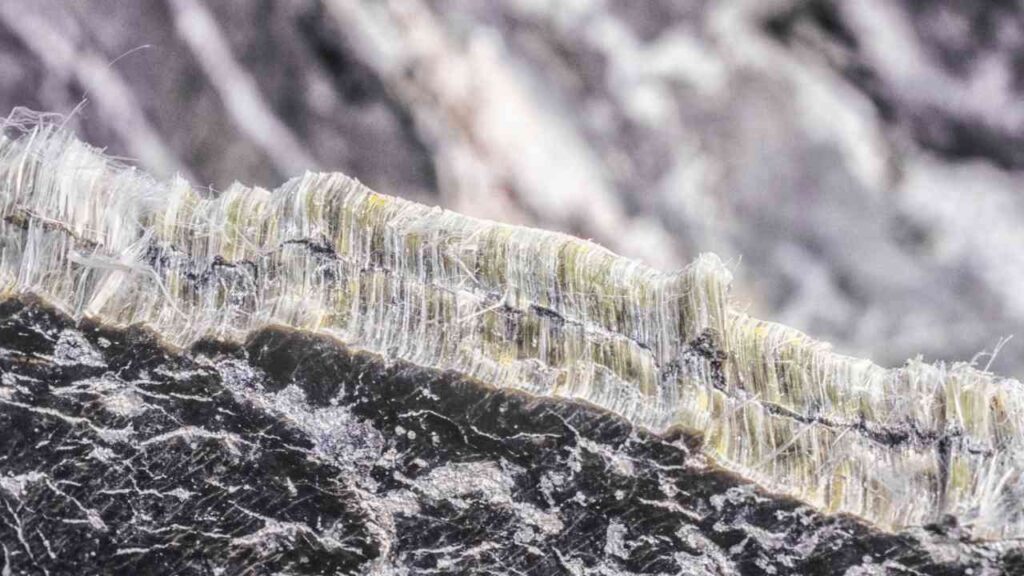 Asbestgefahr im Emsland: Eine unsichtbare Bedrohung