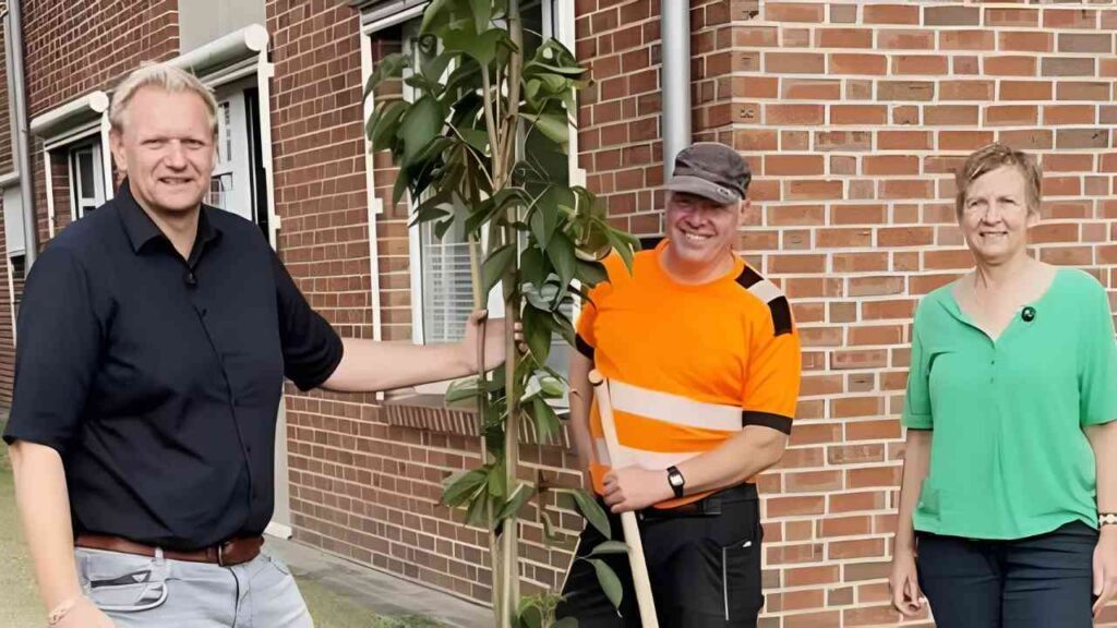 Lengerich: Kirschbaum am Rathaus dank Baumpflanz-Challenge