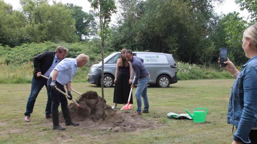 Meppen: Landkreis erfüllt Baumpflanz-Challenge mit Pyramideneiche