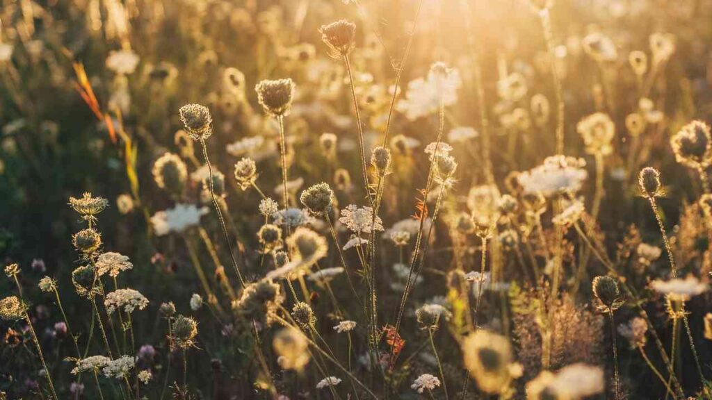 Neue Musik für den Spätsommer: Diese Releases erscheinen im August