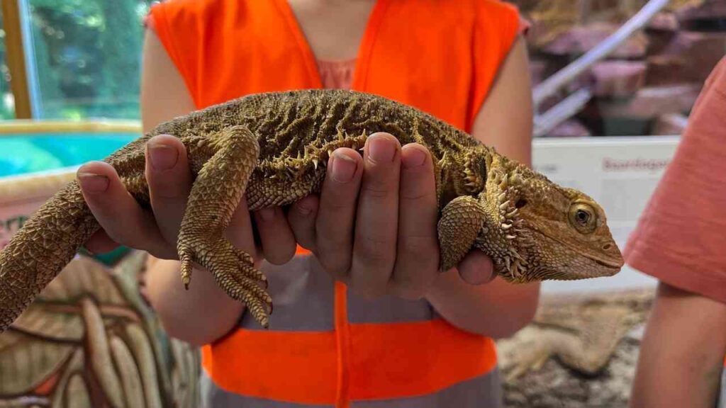 Nordhorn: Studie bestätigt Bildungswirkung – Zooschule als Lernort für nachhaltige Entwicklung ausgezeichnet