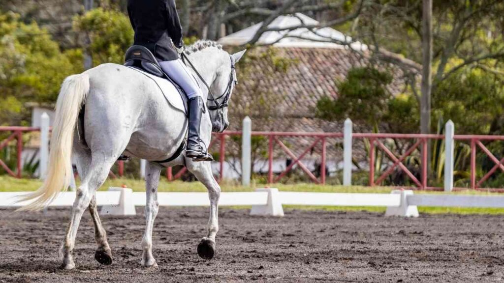 Ein Blick hinter die Kulissen: Ein Gespräch mit FN Geschäftsführer Dr. Klaus Miesner