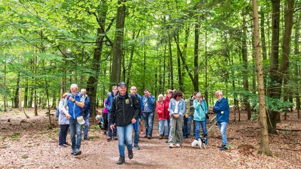 Gruppe von Menschen beim Wandern im Wald, umgeben von grünem Laub in entspannter Atmosphäre.