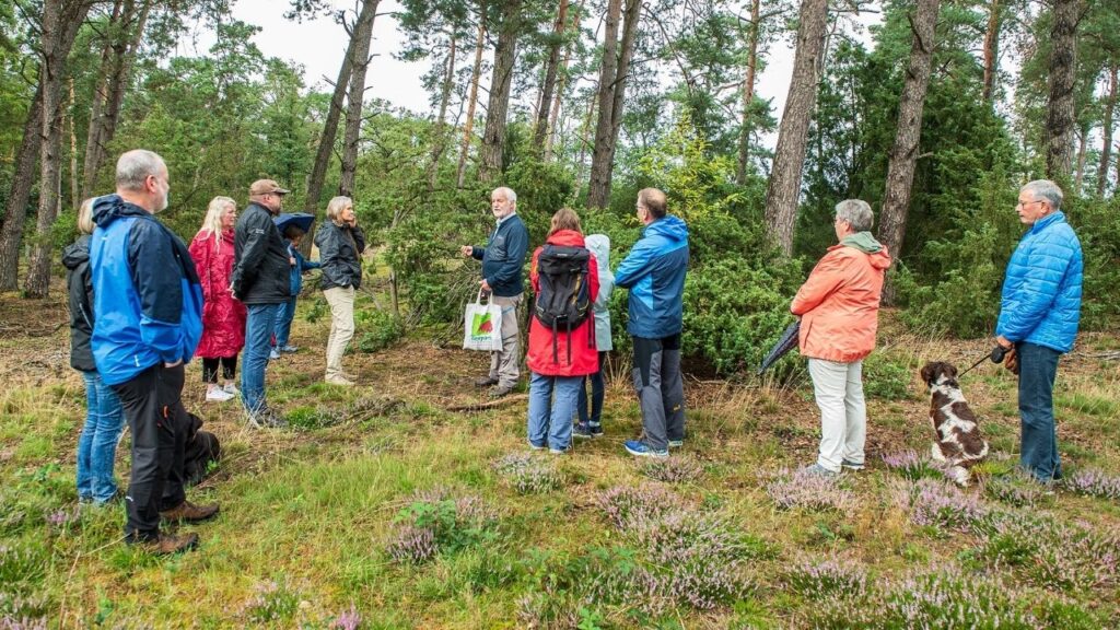 Gruppe Wanderer im Wald mit Hund bei einer Führung durch Naturführer, umgeben von Bäumen und Heidekraut.