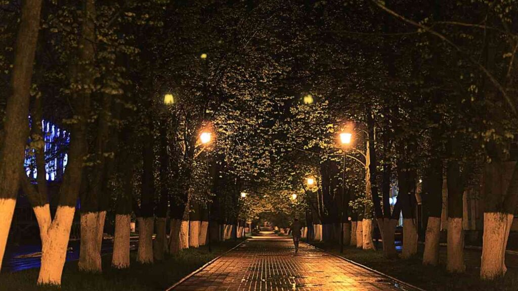 Nachtspaziergang auf beleuchteter Allee mit Bäumen. Romantische Atmosphäre im Parkweg.