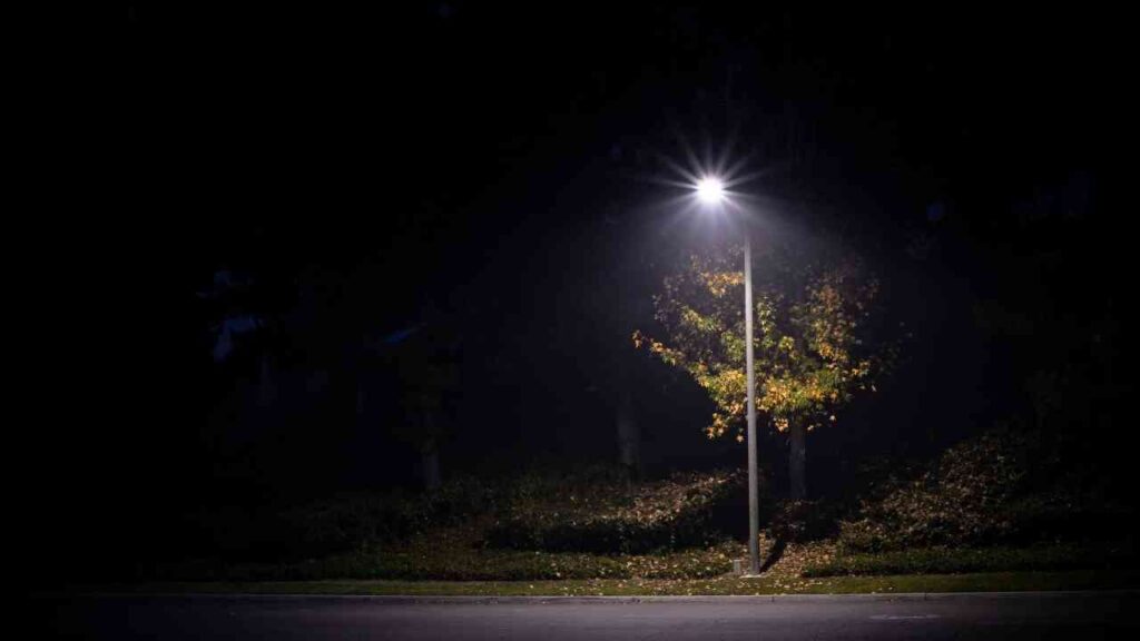 Straßenlaterne beleuchtet nachts einen Baum auf einer verlassenen Straße, Atmosphäre der Ruhe und Isolation.