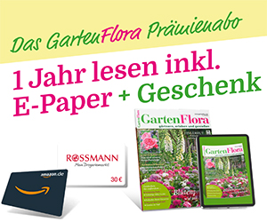 GartenFlora Prämienabo: 1 Jahr lesen inkl. E-Paper und Geschenk, wie Amazon- und Rossmann-Gutscheine, mit Gartenmagazin-Cover.