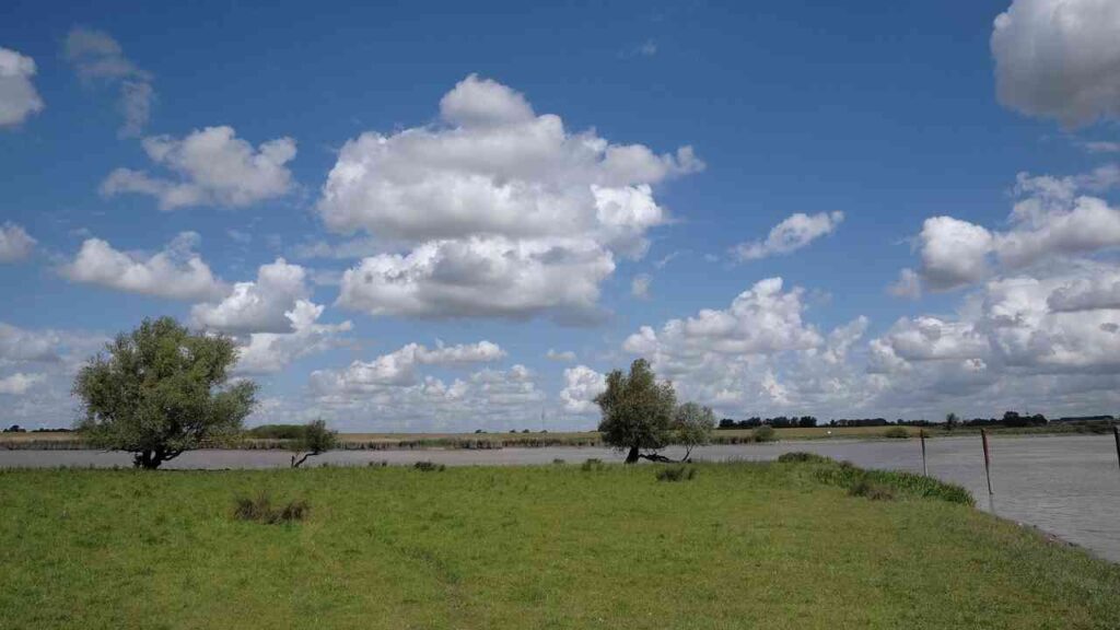 Grüne Wiese mit zwei Bäumen und einer bewölkten Himmelsszene.