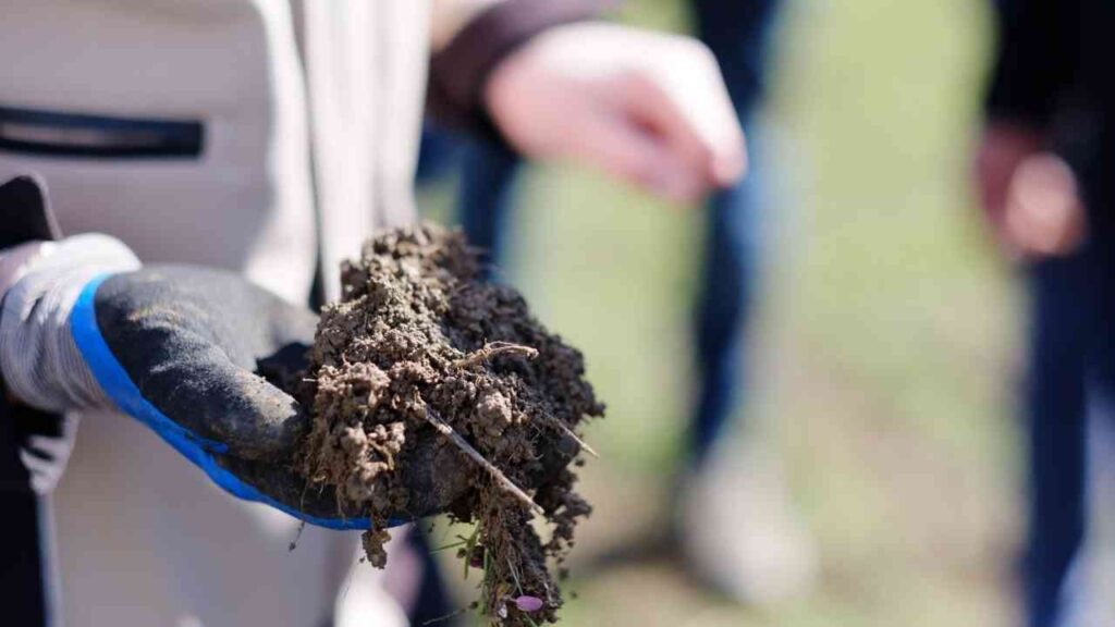 Klimaschutz mit dem Spaten: Landwirtschaftsminister Rainer besucht HumusKlimaNetz-Projekt