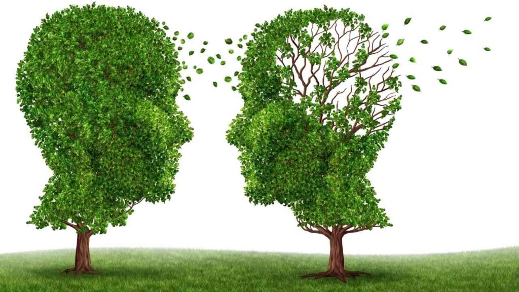 Zwei stilisierte Baumköpfe, einer voller Blätter, der andere mit abfallenden Blättern, symbolisieren den Verlust von Erinnerungen.