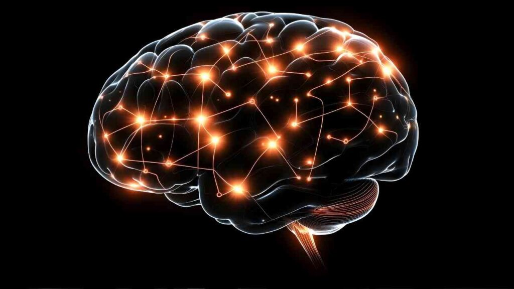 Förderung für das HIIG