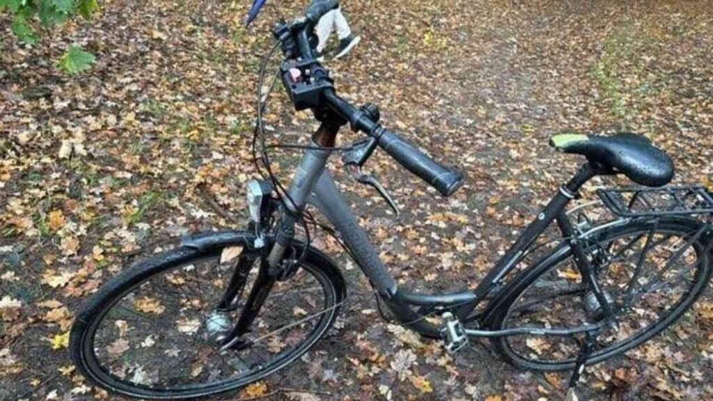 Schwarzes Fahrrad mit einem niedrigen Rahmen und einem Gepäckträger auf einem mit Blättern bedeckten Boden.