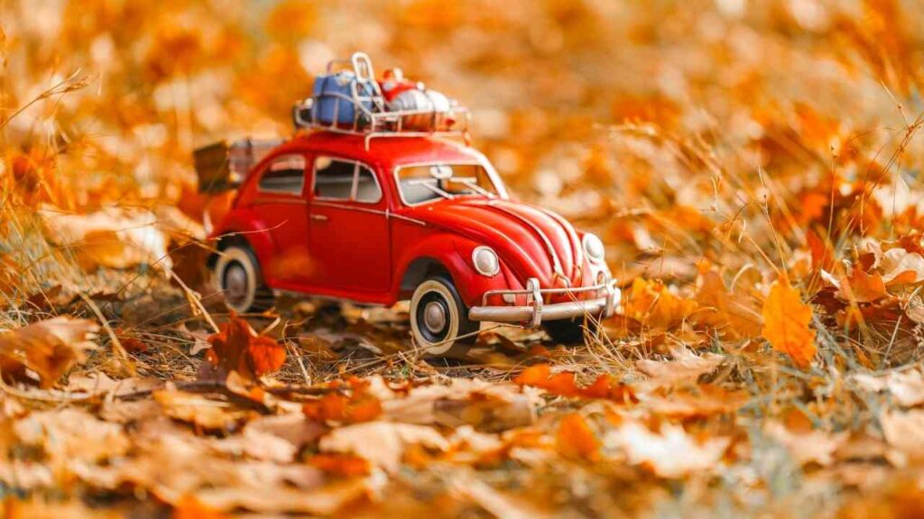 Roter Spielzeugwagen mit Gepäck auf dem Dach, umgeben von herbstlichen Blättern.