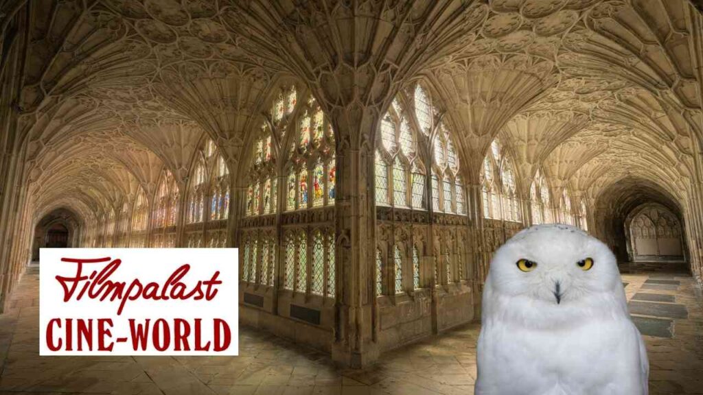Ein weißer Uhu vor einer gotischen Architektur mit bunten Fenstern im Hintergrund.