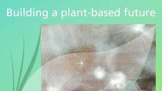 Grafik mit dem Text 'Building a plant-based future' und einer abstrahierten, hellen Hintergrundgestaltung.