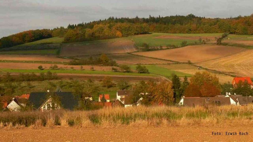Landschaft mit Feldern und Hügeln, die in verschiedenen Grüntönen und Erdtönen gehalten sind.