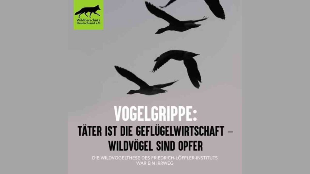 Wildtierschutz Deutschland Grafik zur Vogelgrippe Verbreitung und Geflügelwirtschaft
