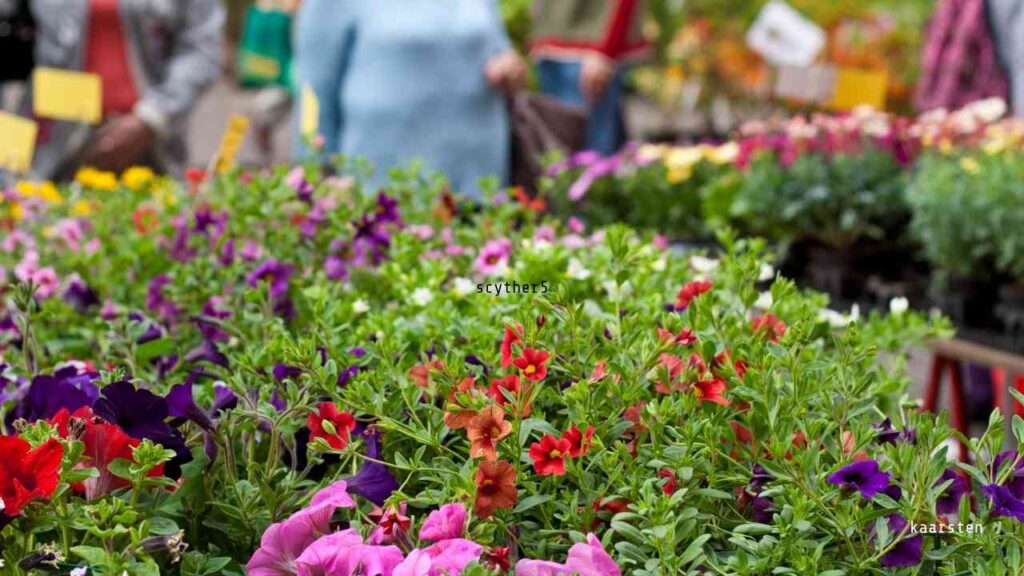 Bunte Blumen in verschiedenen Farben auf einem Wochenmarkt, umgeben von Besuchern und Ständen.