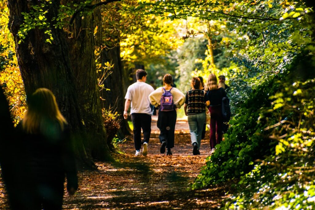 Gruppe von sechs Personen, die auf einem Waldweg zwischen Bäumen spazieren gehen, umgeben von herbstlichen Farben.
