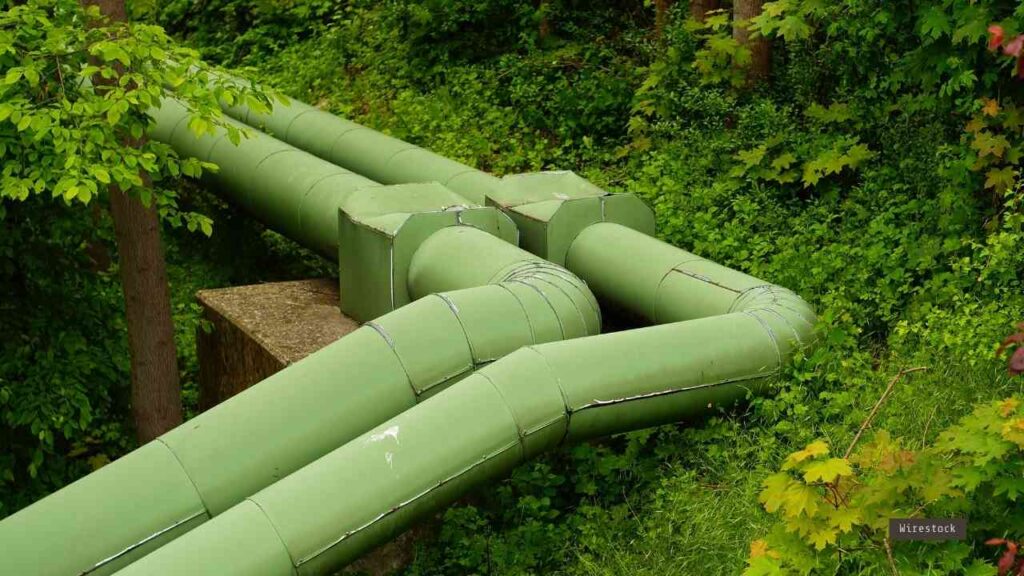 Grüne Rohrleitungen, die in verschiedene Richtungen verlaufen und durch Pflanzen umgeben sind.