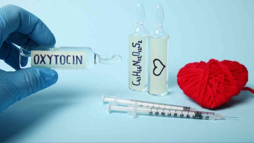 Ampulle mit Oxytocin und zwei weiteren Ampullen sowie einer Spritze und einem roten Herz aus Garn.