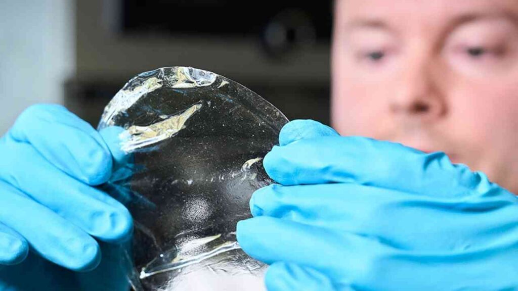 Person mit blauen Handschuhen hält ein transparentes, flexibles Material in der Hand, das leicht verzogen ist.