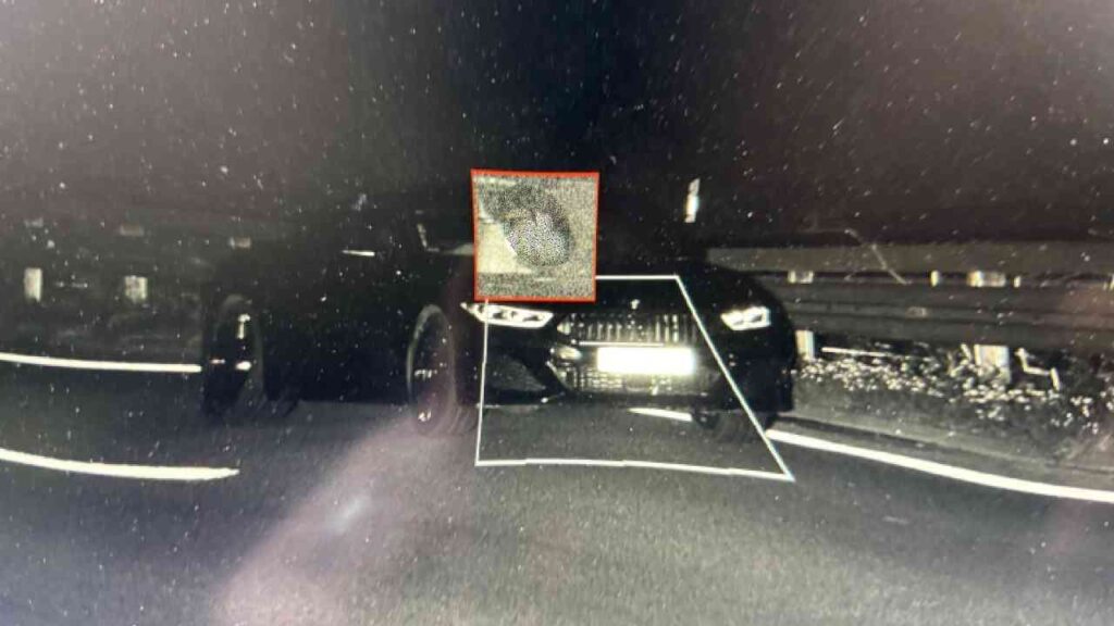 Schwarzer BMW auf einer Straße, mit einem hervorgehobenen Bereich auf dem Fahrzeug.