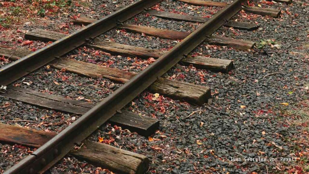 Schienen und Schwellen einer Eisenbahnstrecke mit herabgefallenen Blättern auf dem Schotterbett.