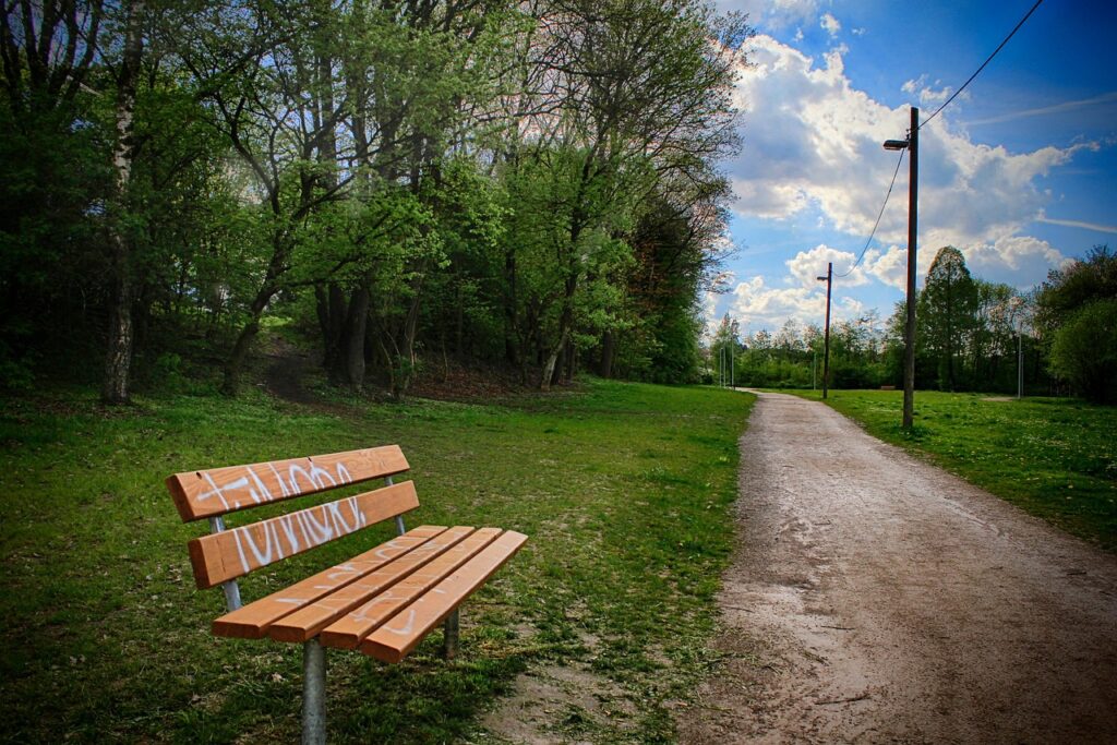 Eine Holzbank mit Graffiti in einem Park, umgeben von Bäumen und einem Weg.