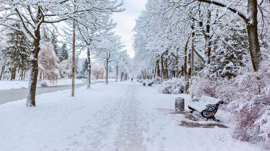Schneebedeckter Weg mit Bäumen und einer Bank in Niedersachsen während des Winterwetters.