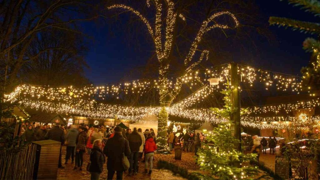 Beleuchteter Weihnachtsmarkt im Tierpark Nordhorn mit festlicher Dekoration und Besuchern.