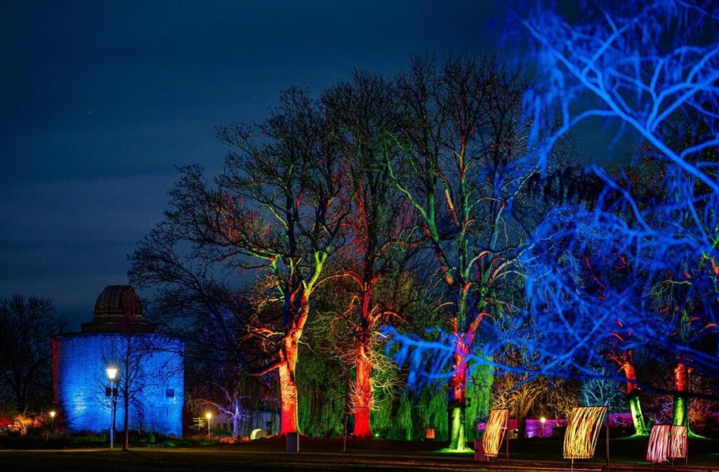 Bunte beleuchtete Bäume in einem Park bei Nacht, umgeben von einer dunklen Himmelsszenerie.