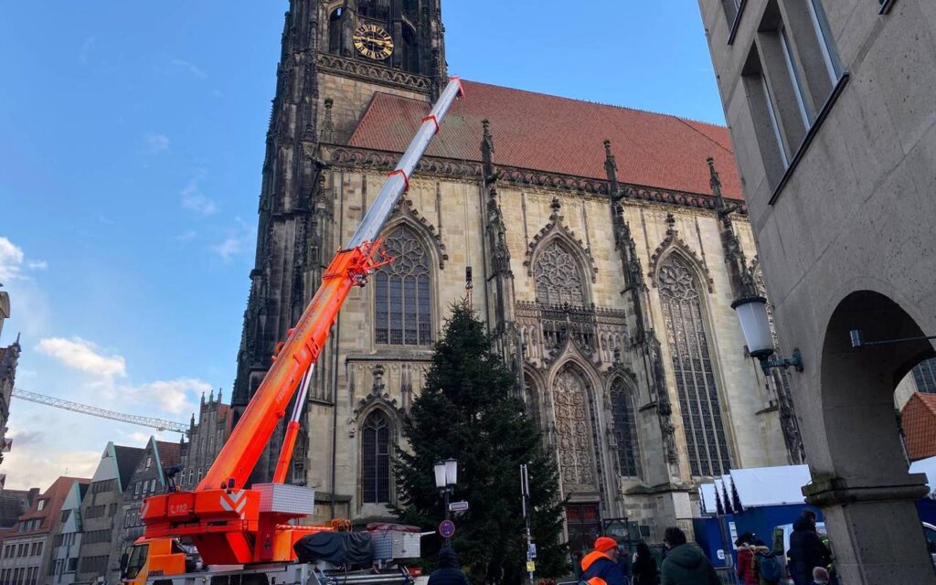 Baum mit Weihnachtsdekoration auf dem Prinzipalmarkt in Münster, neben der St. Paulus-Domkirche.