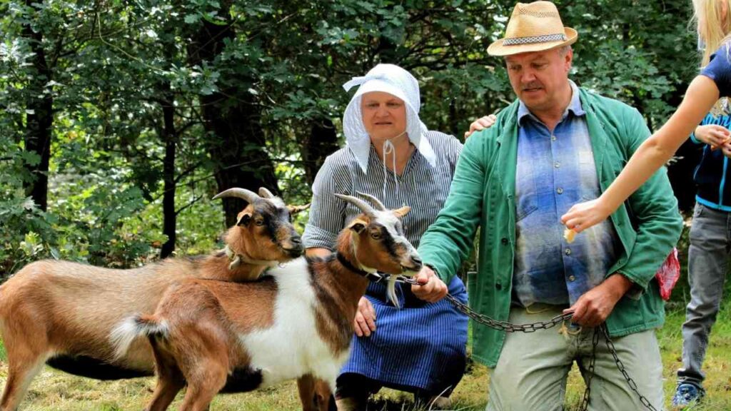 Mann und Frau mit Ziegen in ländlicher Umgebung, der Mann hält eine Ziege an der Leine.