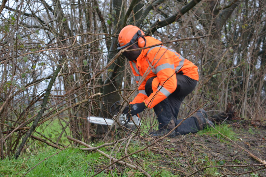 Sägearbeiten Bauhof Gemeinde Geeste Holz