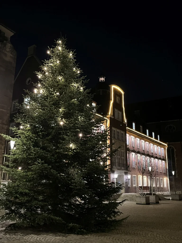 Tanne Weihnachten Rathaus