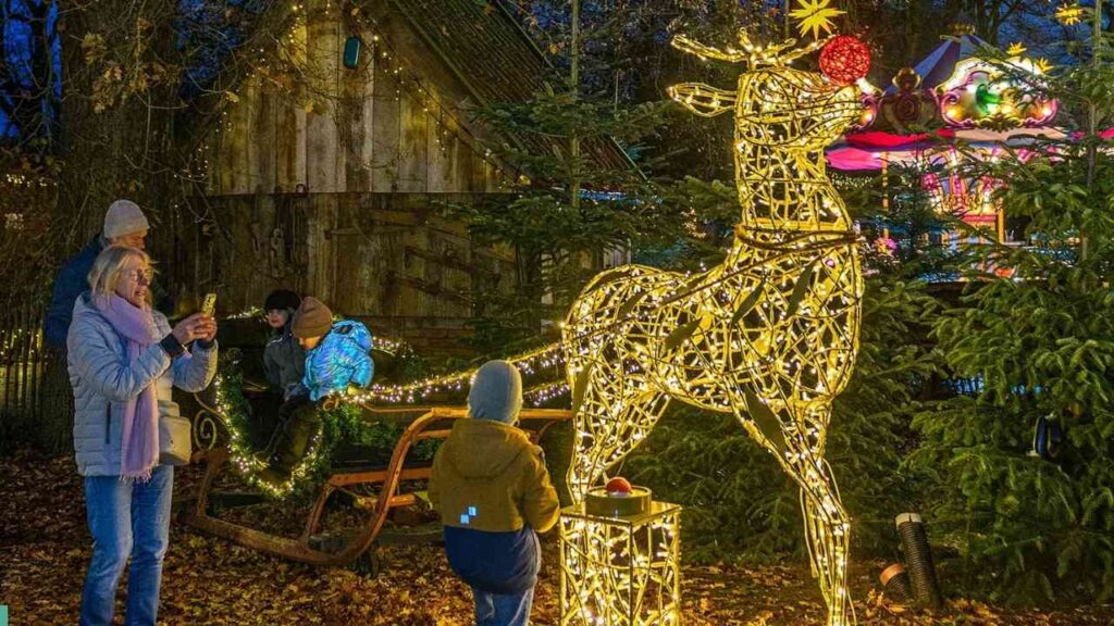 Beleuchtetes Rentier aus Draht mit Weihnachtsdekoration im Tierpark Nordhorn während des Weihnachtsmarktes.