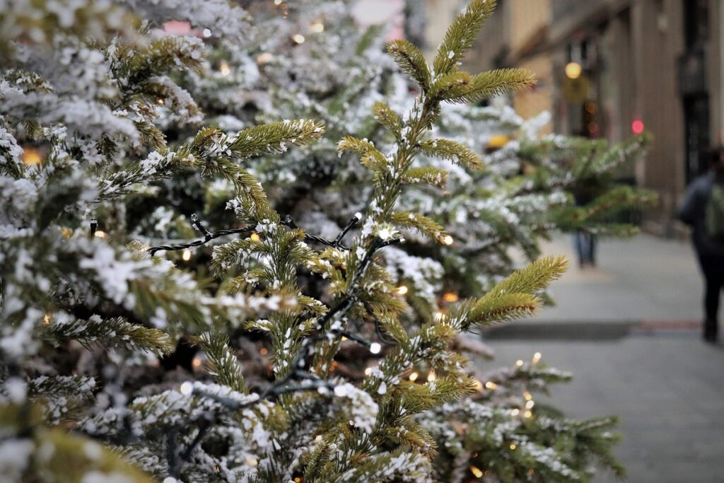 Weihnachtsbaum mit Schnee und Lichtern, dekoriert für die Winterzeit in einer städtischen Umgebung.