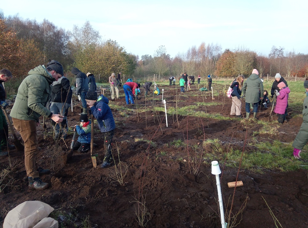 Schulwaldtag & Pflanzaktion in Uelsen
