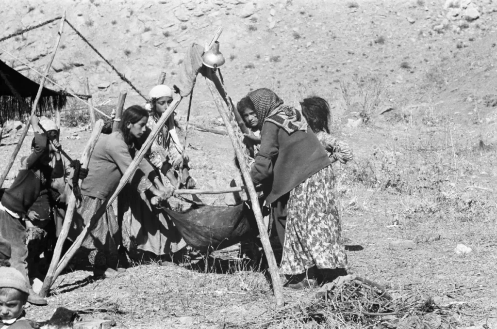 Cc by nc nd 4.0 isa oaw photo werner finke 1200x q80