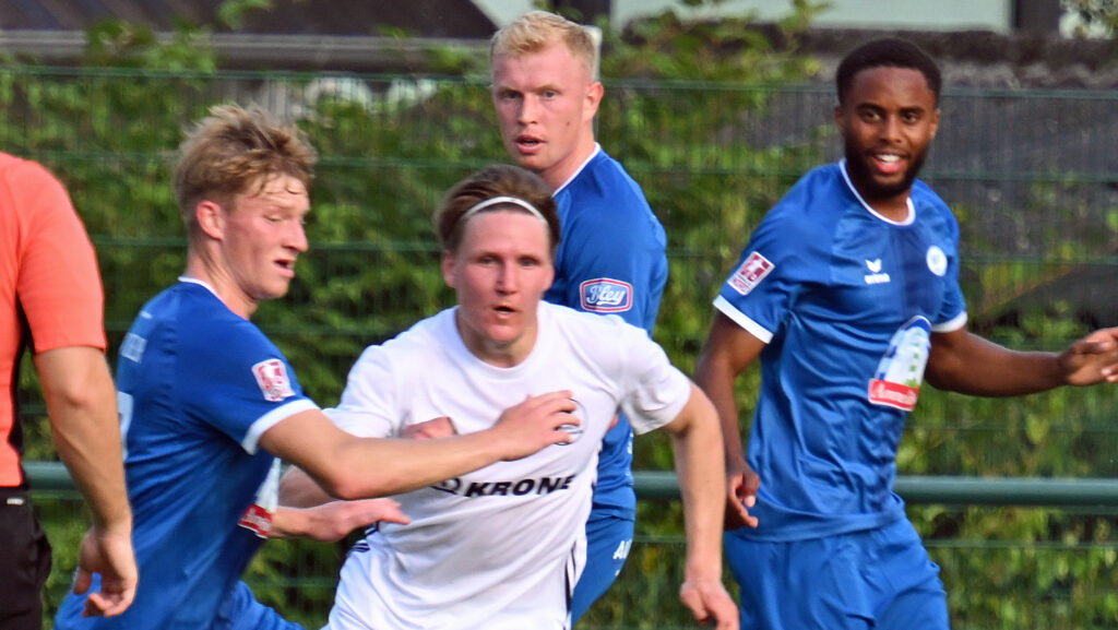 Jeddeloh scsv21 meier