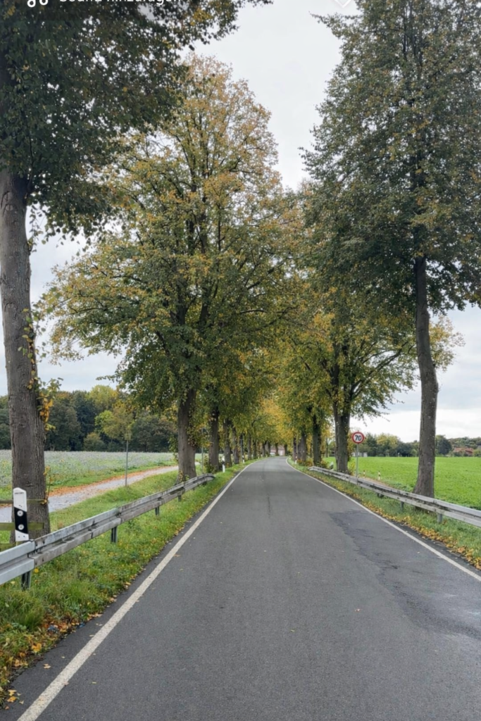 067 K31 (C) Kreis Coesfeld