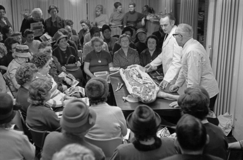 Allerlei vom Schweinefleisch