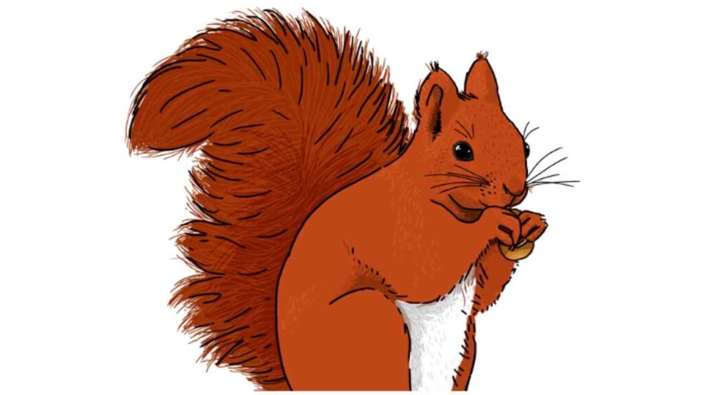 Erlebter Frühling (1)