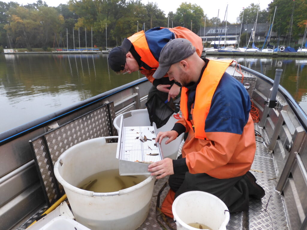 Ruhr Wasserwirtschafts Gesellschaft mbH