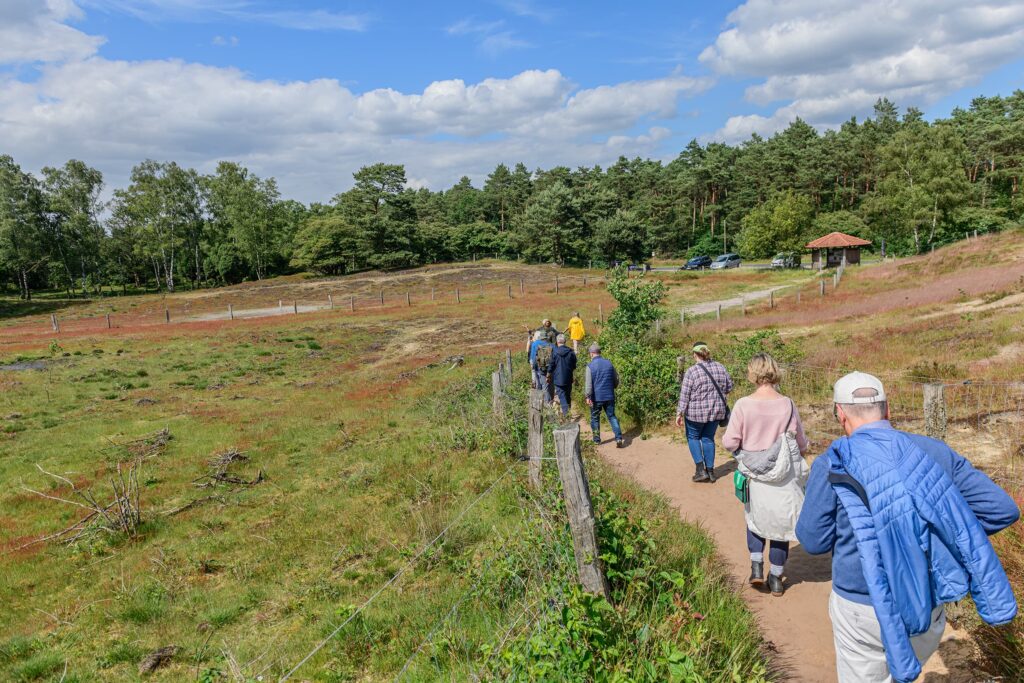 Gratisführung Tillenberge © Franz Frieling