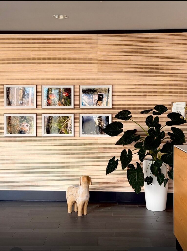 Was macht ein Weihnachtsschaf im Frühling bei der Gebäude und Wohnungsbaugesellschaft Wernigerode mbH?