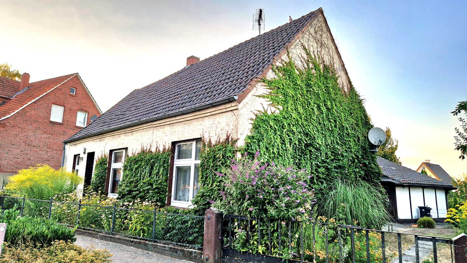 Begrünte Hausfassade