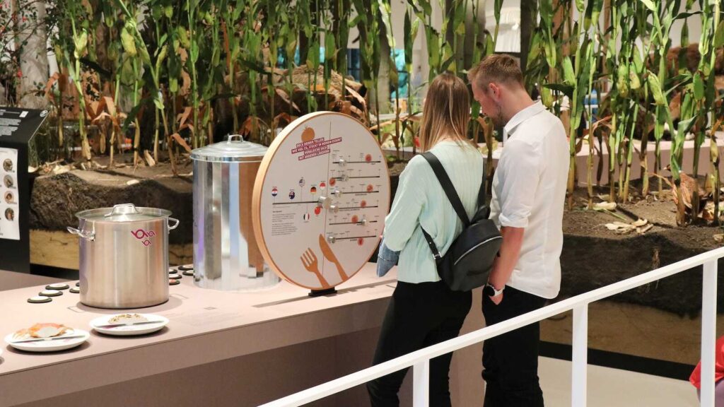 Besucherinnen und Besucher im Museum am Schölerberg in Osnabrück