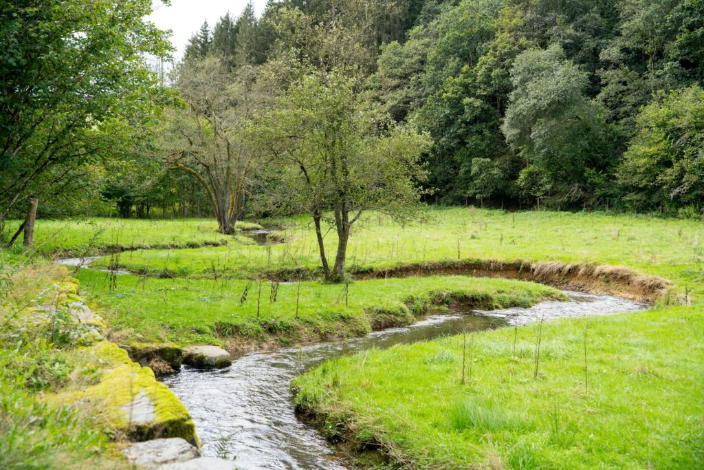 Kleiner Bach fließt durch eine Wiese als Symbolbild